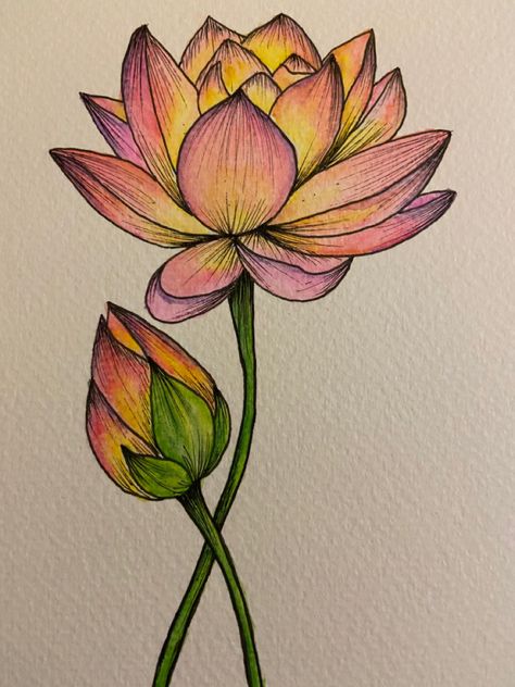 Flower Sketching Pencil, Long Flowers Drawing, Indian Flower Drawing, Drawing Ideas Colour Pencil Beginner, Lotus Sketch Drawing, Aesthetic Pencil Drawings, Flower Drawing Color Pencil, Color Pencil Art For Beginners, Lotus Flower Sketch