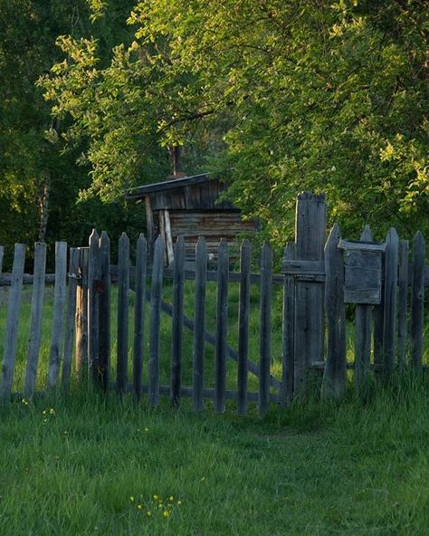 Cottagecore Life, Europe Summer, Dark Places, Village Life, Green Nature, Summer Sunset, Belarus, Nature Aesthetic, Beautiful Places To Visit