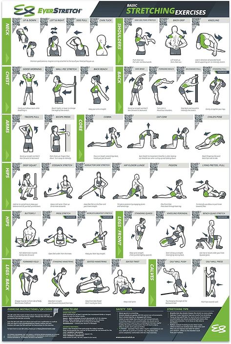 Stretching Workouts Flexibility, Back Stretches Post Workout, Best Stretching Routine, Let Stretches, Back Stretches Pre Workout, Pilates Workout Poster, Post Workout Stretching, Stretching Exercises For Men Flexibility, At Home Stretching Routine