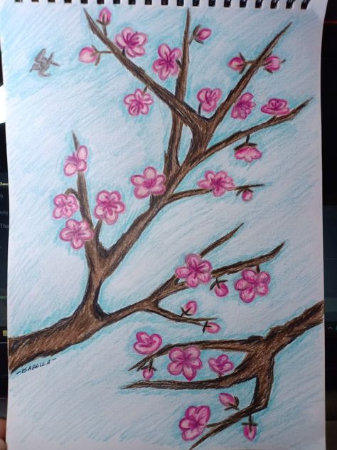 Cherry Blossoms inspired by the Arizona Green Tea Can. Colour pencil sketch. Cherry Blossom Colored Pencil, Cherry Blossom Drawing Pencil, Trees And Flowers Drawing, Spring Drawing Ideas Easy, Cherry Blossom Drawing Easy, Japanese Cherry Blossom Tree Drawing, Easy Cherry Blossom Drawing, Cherry Blossom Drawing Tree, Easy Nature Sketches