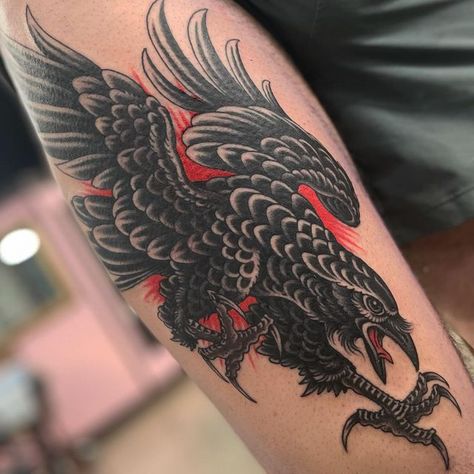 Dracula Parrot Tattoo, Traditional Crow Tattoo Design, Raven American Traditional Tattoo, Traditional Roadrunner Tattoo, American Traditional Raven Tattoo, American Traditional Crow Tattoo, Raven Traditional Tattoo, American Traditional Crow, Traditional Raven Tattoo