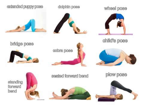 My favorite poses! Picked for their recommendations for asthma, back pain and stree relief! Yoga For Asthma, 30 Day Workout Plan, Weight Workouts, Puppy Pose, Daily Yoga Workout, Cobra Pose, Bridge Pose, 30 Day Fitness, Yoga Positions