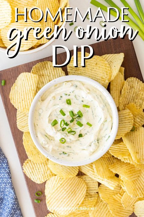 Green Onion Dip Recipe, Green Onion Dip, Bulk Recipes, Homemade Onion Dip, Chex Mix Recipes Sweet, Comfort Food Appetizers, Green Onions Recipes, Chip Dip Recipes, Superbowl Food