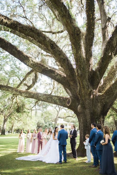 30A Wedding, Eden Gardens Wedding, Eden Gardens State Park, 30A wedding photographer, leslie hollingsworth, Seaside wedding, ruskin park wedding, outdoor venue, outdoor wedding, Seaside wedding photographer, ruskin park reception, southeast wedding photographer, florida wedding photographer Eden Gardens State Park, Eden Gardens, State Park Wedding, 30a Wedding, Courtyard Wedding, Eden Garden, Seaside Fl, Seaside Florida, Wedding Tree