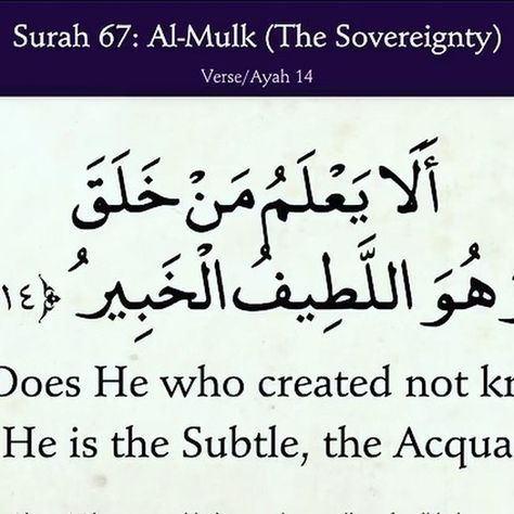 Does He who created not know, while He is the Subtle, the Acquainted? (Qur'an, Al-Mulk, The Sovereignty [67]:14 of 30) Al Mulk, April 27, Quran, On Instagram, Quick Saves, Instagram