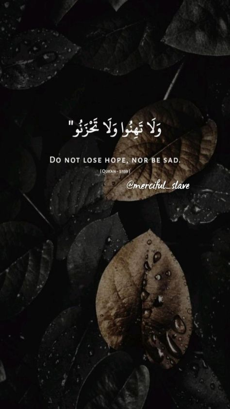 Quran Quotes, The Words, Quran, Wallpapers, Quotes