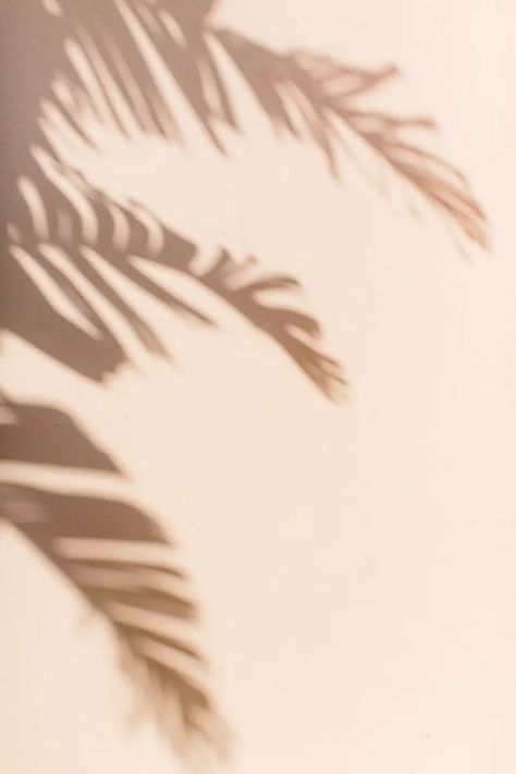 Shadow Play | Erika Carlock Blog Light And Airy Aesthetic, Airy Aesthetic, Fl Beaches, Minimalist Iphone, Feeling Inspired, Shadow Play, Luxembourg, The Sunshine, How Beautiful