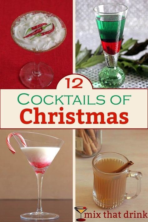 12 delicious Christmas cocktails, featuring winter classics, drinks that taste like Christmas treats, and drinks named after Santa. You're sure to find something to enjoy this winter holiday season. Best Christmas Drinks Holiday Cocktails, Best Christmas Cocktails, Christmas Cocktails Easy, Christmas Drinks Alcohol Recipes, Christmas Drinks Alcohol, Jul Mad, Drinks Ideas, Hot Cocktails, Cocktails Recipes