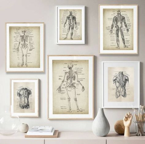 Physiotherapy Room, Physio Clinic, Anatomy Wall Art, Modern Study Rooms, Doctor Clinic, Massage Room Decor, Medical Decor, Studio Medico, Consulting Room