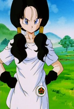 Videl Satan. If you rearrange the letters of videl, you get devil. She grew on me but in the beginning I thought that last sentence really fit her. Dbz Female, Videl Dbz, Karin Naruto, Z Warriors, Dragon Ball Z Shirt, Dragon Balls, Sarada Uchiha, Dragon Ball Wallpapers, Dragon Ball Artwork