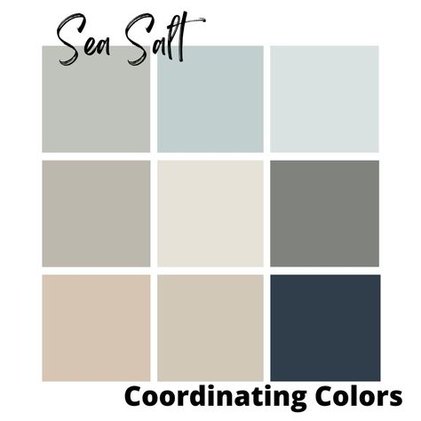 sand dollar, cityscape, heron plume, accessible beige, comfort gray, naval, and mindful gray are the coordinating colors for sea salt Sea Salt Blue Sherwin Williams, What Color Goes With Sea Salt Paint, Colors To Pair With Sherwin Williams Sea Salt, Sherman Williams Sea Salt Coordinating Colors, Sherwin Williams Groundwater, Accent Colors That Go With Sea Salt Paint, Sea Salt Bathroom With Gold, Colors That Go With Sea Salt Sherwin Williams, Colors That Go With Sea Salt Paint Sherwin Williams