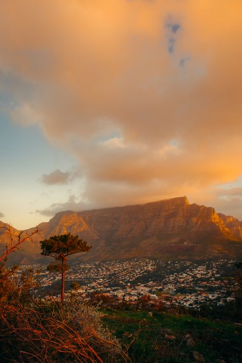 #travel #travelinspo #travelvisionboard #capetown #southafrica #solotravel #sunset #signalhill Cape Town Sunset, Capetown South Africa, Signal Hill, Cape Town South Africa, Old Home, Room Posters, Come Home, Travel Inspo, Cape Town