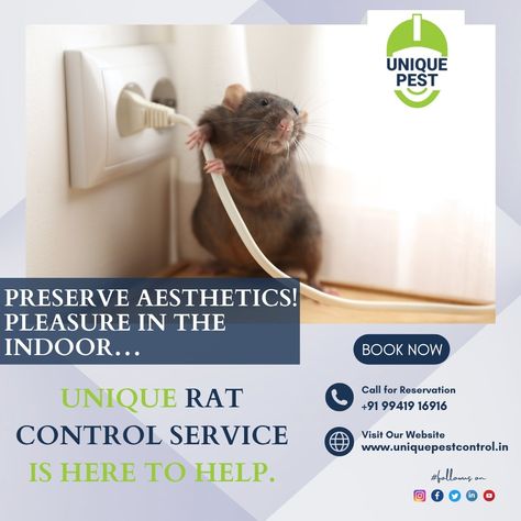 ⚡Promote health 📈 and safety for everyone to create a rat-free environment. Call Us Today 📞9941916916 for a Rat-Free Home!🚫🐭 to Protect Your Environment… #uniquepestmanagement #pestcontrolserviceforrat #pestcontrolratremoval #ratcontrolnearme #safehome #ratfreehome #ratpestcontrol Christian Background Images, Rat Control, Cockroach Control, Christian Backgrounds, Residential Cleaning, Mattress Cleaning, Pest Management, Pest Control Services, Protecting Your Home