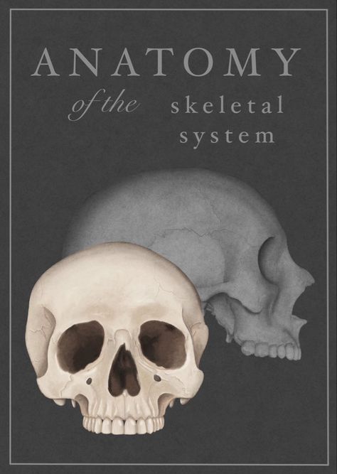 Cover book cranium human anatomy Anatomy Book Cover, Human Skeletal System, Anatomy Book, The Skeletal System, Skeletal System, Book Layout, Skeletal, Personal Project, Human Anatomy