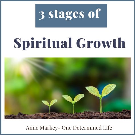 Spiritual growth, which, like physical growth, is central to a healthy life, and the essence of our relationship with God. As believers, we go through different stages of spiritual growth. We learn God loves us and has a plan for our lives. We learn about who he is and his love for us.  Then, we develop […] The post 3 Stages Of Spiritual Growth appeared first on One Determined Life. Bible Study Topics Spiritual Growth, Abraham And Lot, Stages Of Human Development, Stages Of Growth, Spiritual Battle, God Loves Us, Study Topics, What To Study, Bible Study Topics