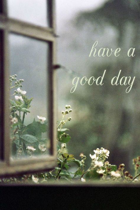 Have a good day... Corinne Bailey Rae, An Open Window, Good Morning Cards, Let Your Hair Down, Favorite Song, Foto Art, Window View, Hair Down, Morning Pictures