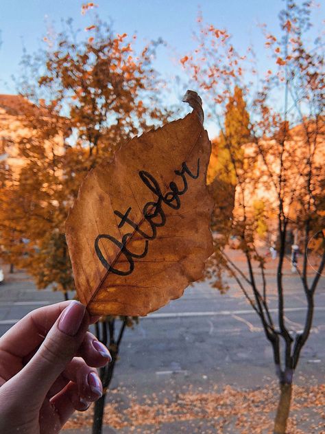 Autumn Flatlay, Autumn Photography Portrait, Embroidered Photo, Shotting Photo, Autumn Scenes, Fall Photoshoot, Autumn Coffee, Fall Pictures, Jolie Photo