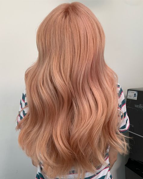 Strawberry Wine Hair, Strawberry Blonde Korean, Strawberry Bronze Hair, Strawberry Blonde Hair With Pink Highlights, Strawberry Blonde Pink Highlights, Strawberry Blonde Dyed Hair, Starberry Blonde Hair, Ash Orange Hair, Salmon Hair Color