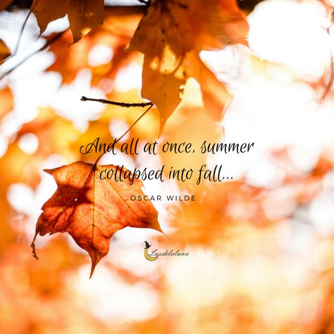 20 Beautiful Autumn Quotes That Will Make You Fall In Love With Fall All Over Again Autumn Days Quotes, All At Once Summer Collapsed Into Fall, And All At Once Summer Collapsed, Fall Season Quotes, September Vibes, Lightworker Quotes, Summer Collapsed Into Fall, Autumn Things, Quiet Quotes