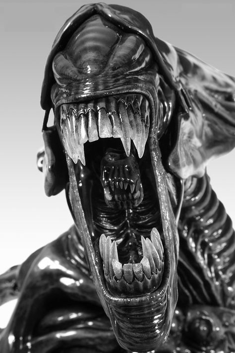 Alien Gate Reference, Alien Mouth, Hr Giger Alien, Alien Horror, Alien Nation, Alien Pictures, Giger Alien, Giger Art, H.r. Giger