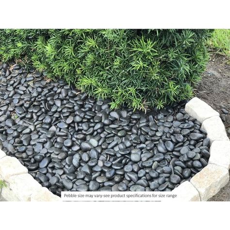 Rain Forest 900-lb Black Polished Pebbles at Lowes.com Rock Backyard, Garden Creek, Rock Scaping, Summer Balcony, Faux Garden, Japanese Garden Decor, Patio Paving, Landscaping Rock, Front Landscape