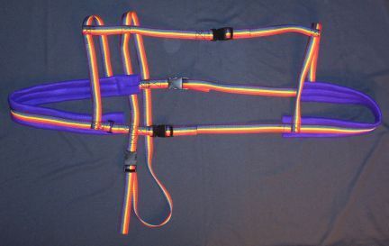 Rainbow w/ Purple Padding Harness Good advice about sewing your own harnesses for your goats #goatvet like this advice esp. re copyright Goat Transport, Goat Harness, Mini Hereford, Sled Dog Harness, Pack Goats, Dog Carting, Miniature Horse Tack, Goat Playground, Goat Pen