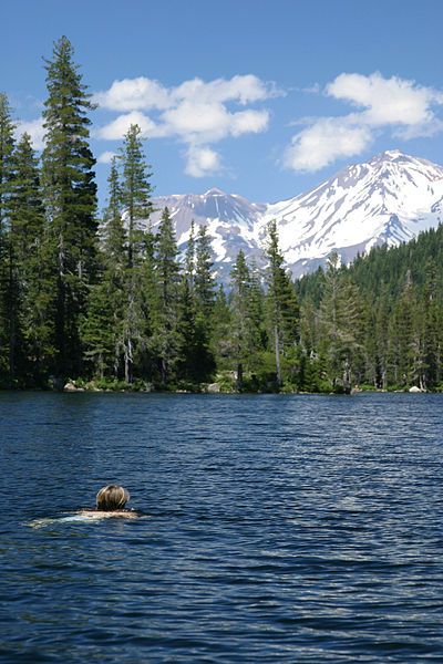 Lake Shasta, Shasta California, Sweet California, Shasta Lake, Lakes In California, Mt Shasta, California Camping, Mount Shasta, California Living