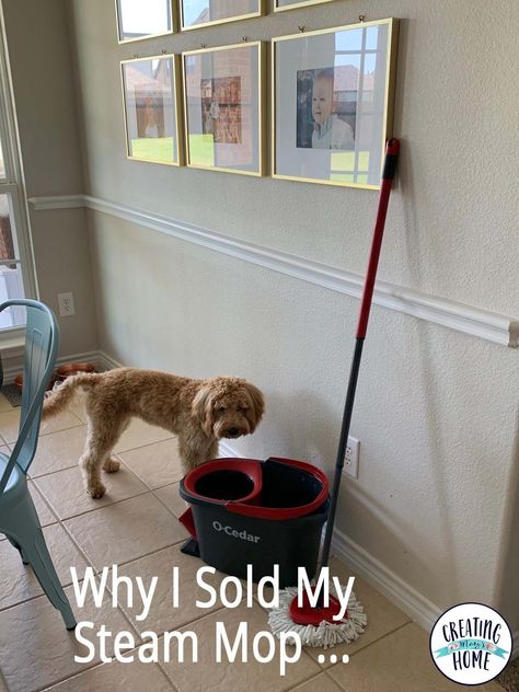 Why I Sold My Steam Mop ... - creatingmaryshome.com Shark Steam And Scrub Mop, Steam Mop Hacks, O Cedar Spin Mop Hacks, Cedar Mop, Mop Solution, Shark Steam Mop, Cleaning Ceramic Tiles, Smelly Dog, Best Cleaner