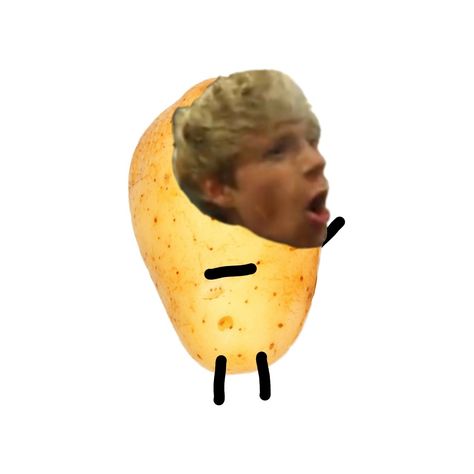 Potato Niall Horan, Niall Horan Potato, Niall Horan Sign Ideas, Pranks Laughs Oh Niall Horan, Funny Niall Horan Pictures, Niall Horan Room Decor, Niall Horan Concert Signs, Niall Horan Funny Pictures, Niall Horan Nails Designs