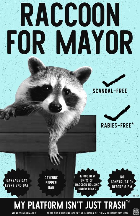 Raccoon Poster, Under Decks, Trash Panda, Cozy Room Decor, Free Poster, Racoon, Cozy Room, New City, Room Posters