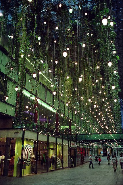 Ivy Hanging From Ceiling, Human Perspective, Hanging Ivy, Indoor Plants Styling, Plant Structure, Plant Installation, Shop Facade, Skyscraper Architecture, The Sacred Heart