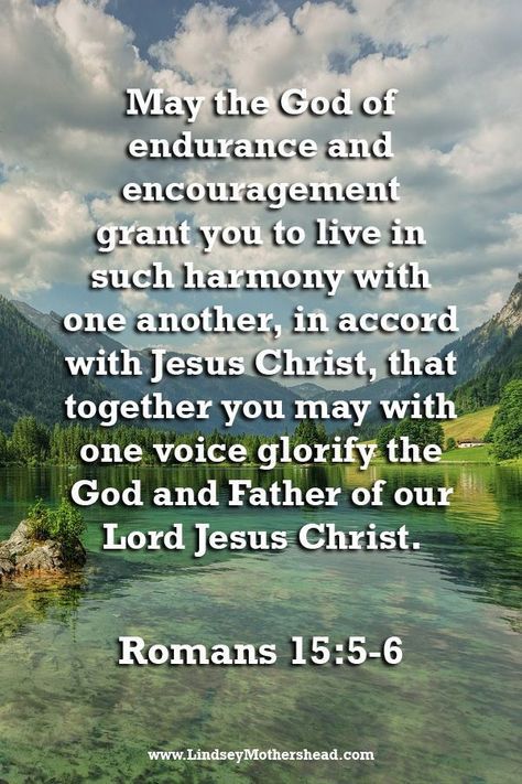 Romans 15 5, Jesus Christ Quotes, Bible Verses About Strength, Romans 15, Christian Scripture, Encouraging Scripture, Prayer Verses, Jesus Is Life, Jesus Christus