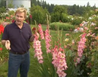 Garden Home Gardening Inside, Paul Allen, Home Materials, P Allen Smith, Merchandising Tips, Mountain Farm, Unusual Homes, Flower Gardening, Unique Houses