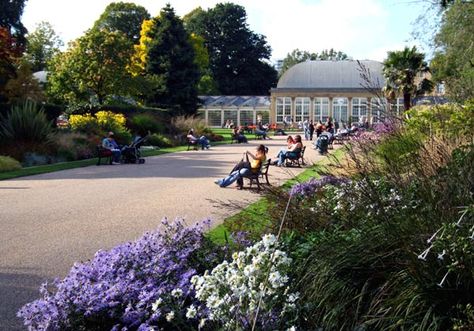 Botanical Gardens, Sheffield sheffield #socialsheffield Huge Succulents, Sheffield Botanical Gardens, Urban Places, Happy City, University Of Sheffield, Sheffield Uk, Peak District National Park, California Garden, Chinese Garden