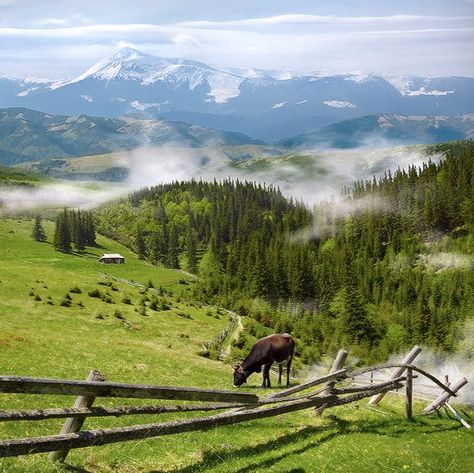 Ukraine Landscape, Fairytale House, Mountain Photography, Beautiful Sites, Peaceful Places, Eastern Europe, Beautiful Places, Ukraine, Around The Worlds