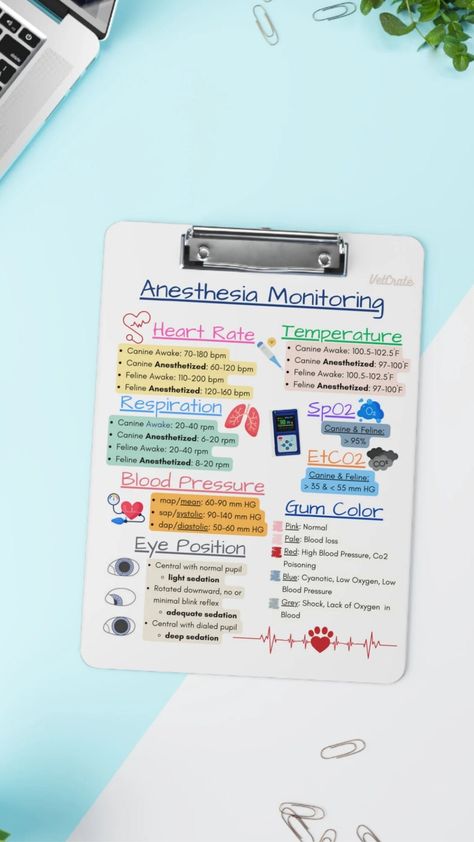 Introducing our Veterinary Anesthesia Monitoring Clipboard, the perfect tool to bring a touch of fun and efficiency to every veterinary practice. Designed with a delightful array of visuals #veterinaryoffice #vettechnotes #vettech #veterinary #vetnurse #vetmedoffice Anesthesia Monitoring, Veterinary Anesthesia, Veterinary Nurse, Veterinary Studies, Vet Medicine, Animals Care, Vet Med, Veterinary Technician, Vet Tech