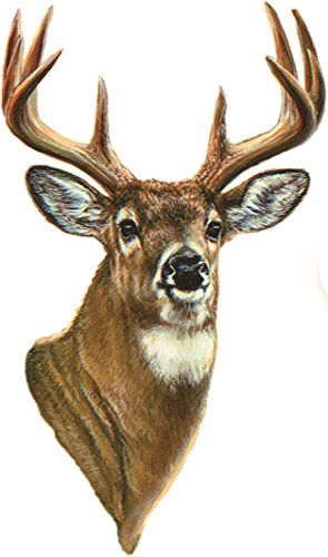 Deer Head Illustration, Painted Deer Head, Deer Head Painting, Deer Head Drawing, Buck Drawing, Buck Painting, Hunting Drawings, Whitetail Deer Pictures, Antler Hunting