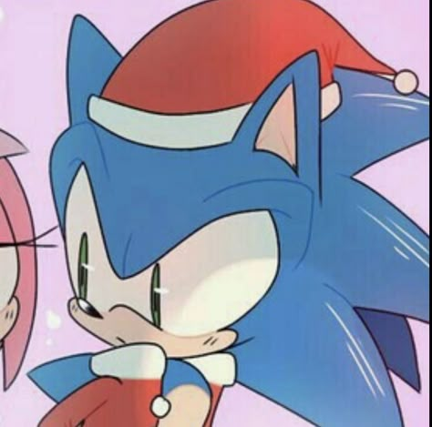 Matching Pfp Couple Sonic And Amy, Sonic And Amy Christmas Pfp, Sonic Christmas Matching Pfp, Sonamy Christmas, Christmas Sonic Pfp, Sonamy Matching Icons, Anime Christmas Matching Pfp, Sonic Christmas Pfp, Sonic And Amy Matching Pfp