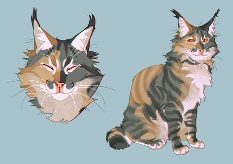 Warrior Design, Cat Drawing Tutorial, Warrior Cats Books, Cat Anatomy, Warrior Cats Fan Art, Warrior Cat Drawings, Warrior Cat Oc, Cat Drawings, Cat Oc