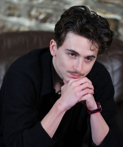 Press Tour, Timothee Chalamet, Role Models, Celebrities