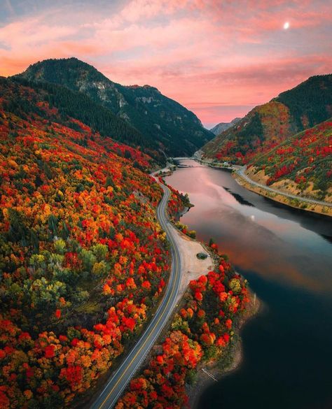 New Zealand Autumn, Aesthetic New Zealand, New Zealand Beach, Visit New Zealand, Instagram Autumn, Autumn Scenery, Beautiful Sunrise, Autumn Vibes, Morning Greetings