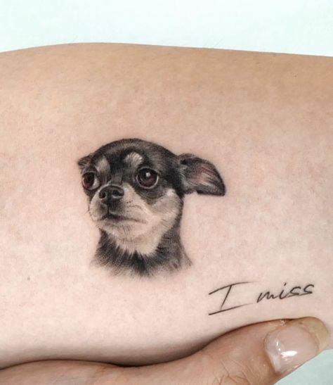 Pet Face Tattoo, Chiwawa Tattoo, Min Pin Tattoo, Dog Face Tattoo, Chihuahua Tattoo, Pet Memorial Tattoo, Dog Portrait Tattoo, Pet Tattoos, Small Dog Tattoos