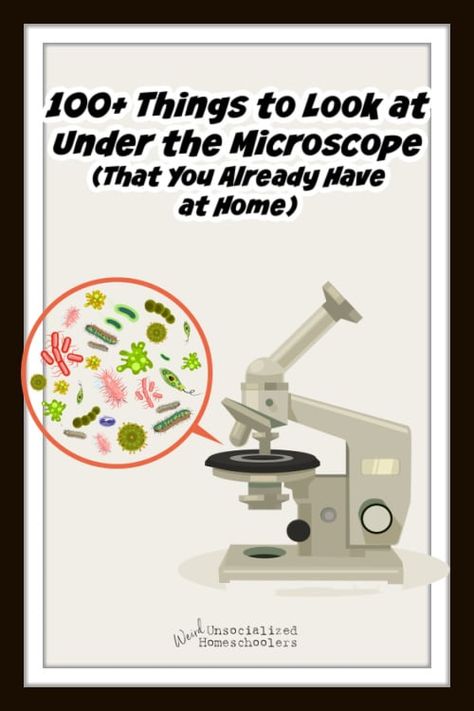 Microscope Lab, Microscope Activity, Random Hobbies, Children's House, Cell Parts, Microscope Kids, Child Plan, Vacuum Container, Under The Microscope