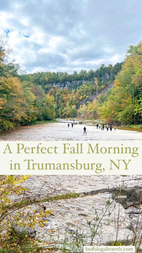 What to do in Trumansburg NY Trumansburg Ny, Taughannock Falls, Cayuga Lake, Fall Morning, Ny Trip, York Travel, Perfect Morning, Autumn Morning, Finger Lakes