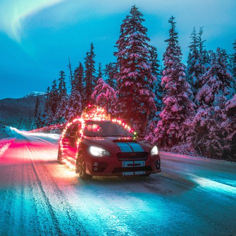 One horse may have worked for the open sleigh but, these days, we like to bring a few more horses to the party. Merry Christmas! #merrychristmas #holidays #presents #subaru #snow #christmastree #decorations #onlineledstore Car Christmas, Porsche With Christmas Tree, Jdm Christmas, Car With Christmas Lights, Christmas Cars, Car With Christmas Tree On Top, Christmas Shoot, Christmas Car, Tree Wallpaper