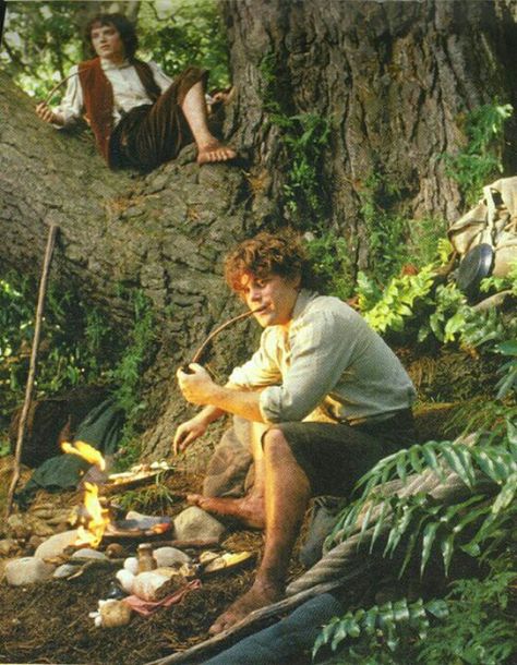 Sam and Frodo, being hobbits #thelordoftherings #samwisegamgee #frodobaggins #hobbits Hobbit Party, Samwise Gamgee, Concerning Hobbits, Frodo Baggins, Into The West, Fellowship Of The Ring, The Shire, Jrr Tolkien, Legolas