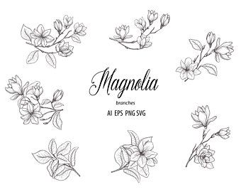 Lunar Flowers, Magnolia Tattoo, Magnolia Branch, Branch Tattoo, Modern Flowers, Flower Line Drawings, Witch Tattoo, Magnolia Flowers, Hand Drawn Floral