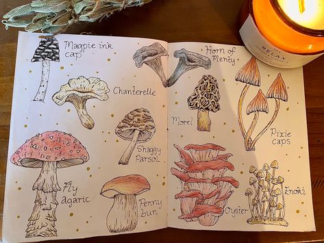 Cute mushroom drawings for a page in a junk journal, scrapbook, bullet journal, or just for fun. Cottagecore Bullet Journal, Mushroom Bullet Journal, Fantasy Journal Pages, Ellie Aesthetic, High School Journal, Nature Crafting, Mushroom Drawings, Mushroom Journal, Journal 2025