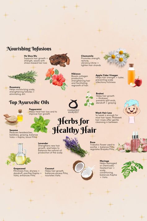 Say goodbye to chemical-laden products and embrace the power of natural herbs for hair nourishment and growth! Ayurveda celebrates these herbs as a hair-nourishing gems that strengthen follicles, stimulate growth, and combat premature graying. Let nature's bounty enhance your hair's vitality! 🌿🌸 #NaturalHairJourney #AyurvedicHerbs #HealthyHairGrowth Herbs For Hair Health, Ayurveda Hair Care, Spiritual Goddess, Clean Gut, Ayurveda Hair, Herbs For Hair Growth, Herbal Hair Growth, Botanical Kitchen, Witchcraft Herbs