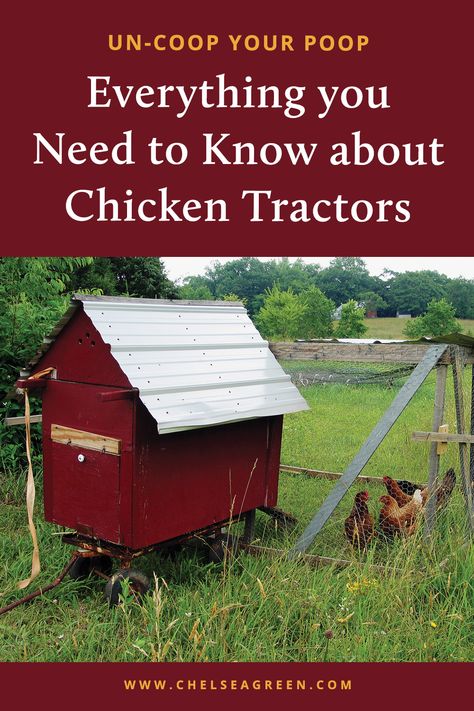 Chicken Tractor For Laying Hens, Pasture Chickens, Hen Coop, Mobile Chicken Coop, Laying Chickens, Chicken Poop, Chicken Tractors, Chicken Tractor, Chicken Ideas